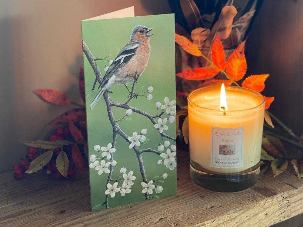 Chaffinch on blackthorn | Pack of 5 small blank greetings cards