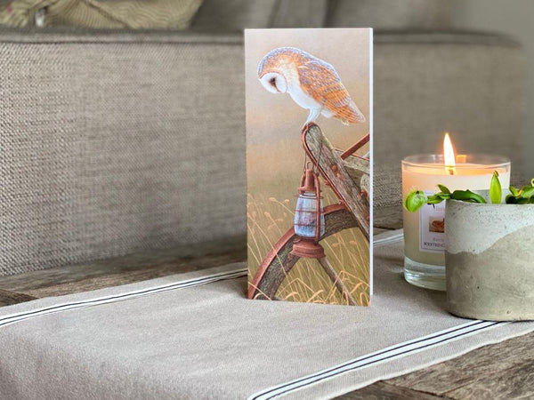 FREE GIFT barn owl on storm lamp pack of 5 small greetings cards