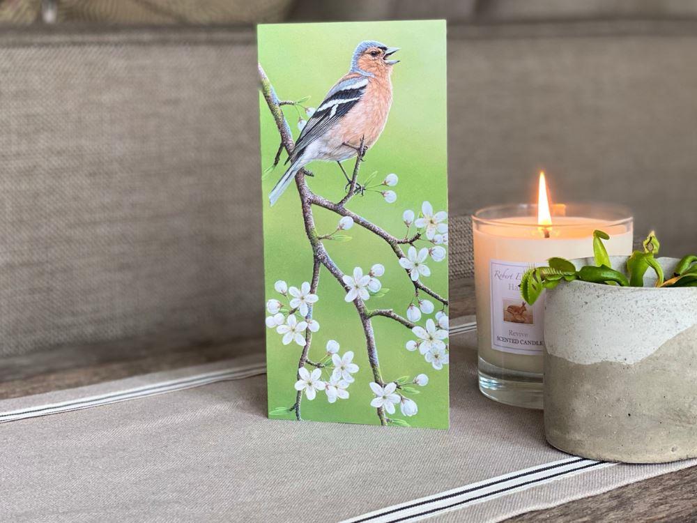 Robin sur une théière | Carte individuelle | Taille B