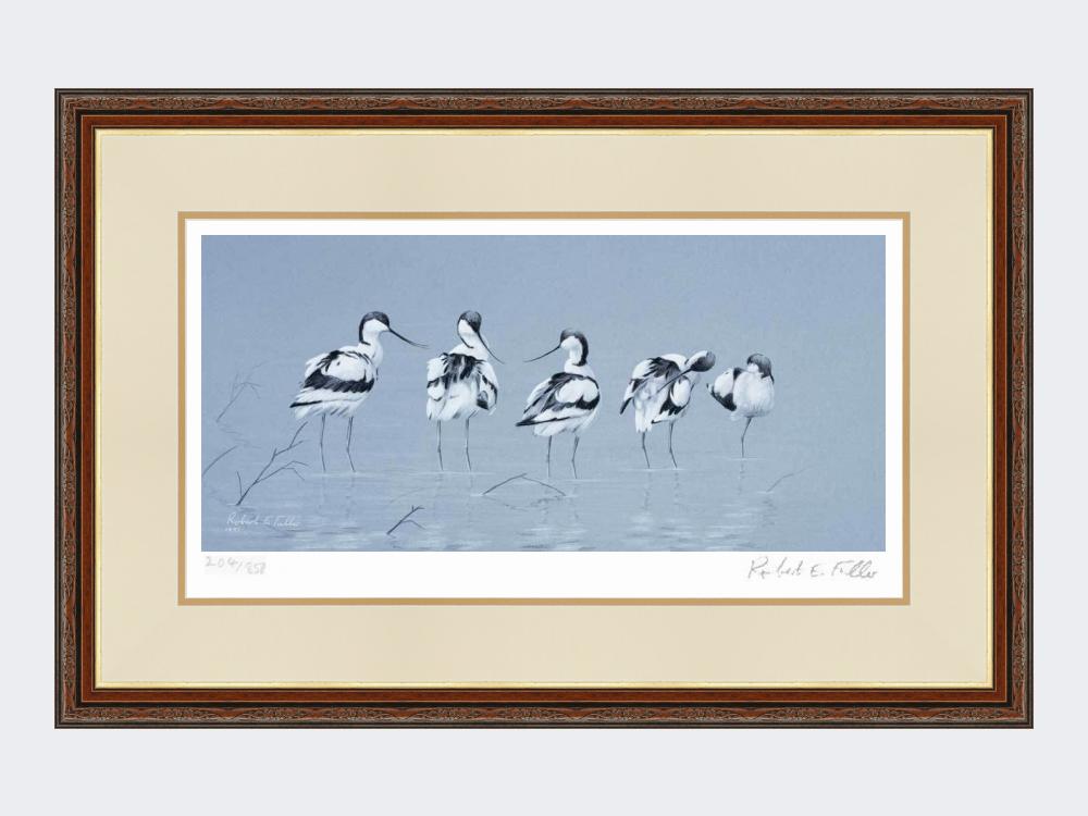Avocets | Limited Edition Art Print