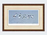 Avocets | Limited Edition Art Print