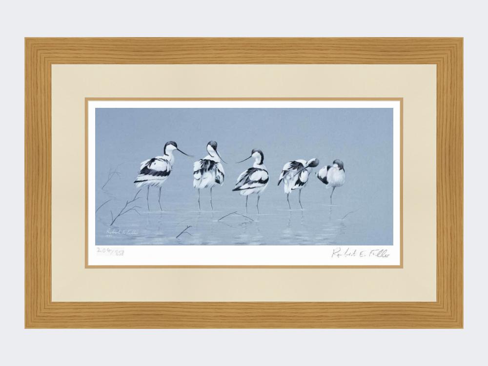 Avocets | Limited Edition Art Print