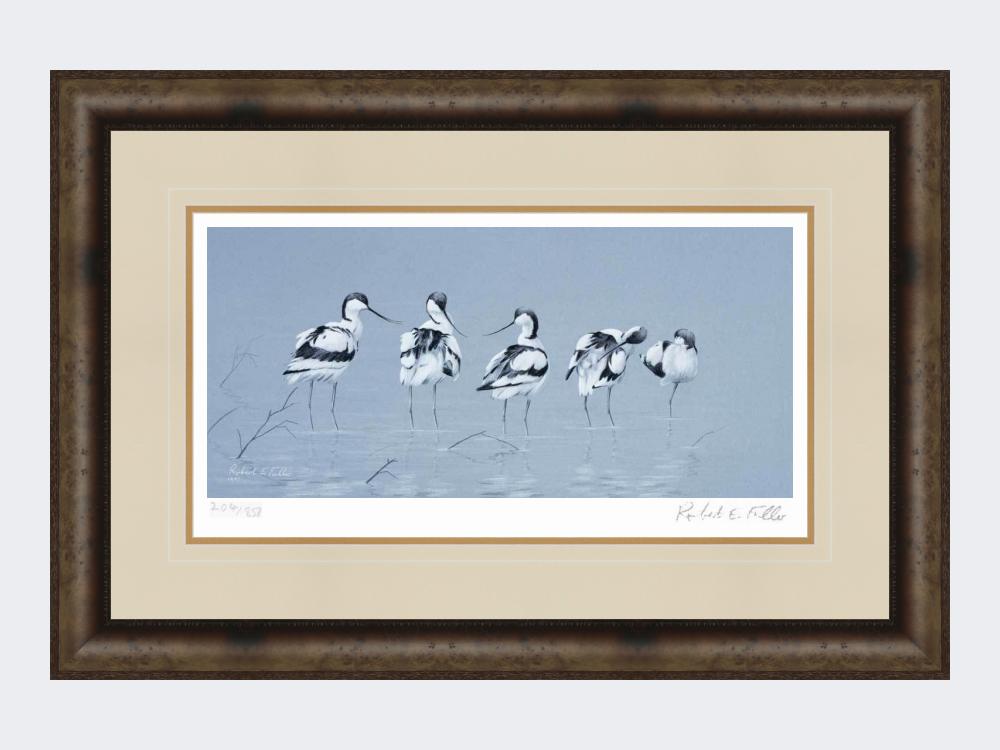 Avocets | Limited Edition Art Print