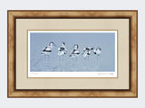 Avocets | Limited Edition Art Print