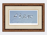 Avocets | Limited Edition Art Print