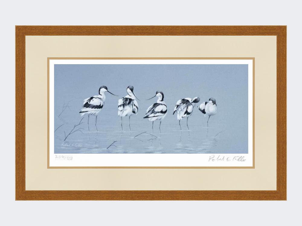 Avocets | Limited Edition Art Print