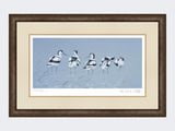 Avocets | Limited Edition Art Print