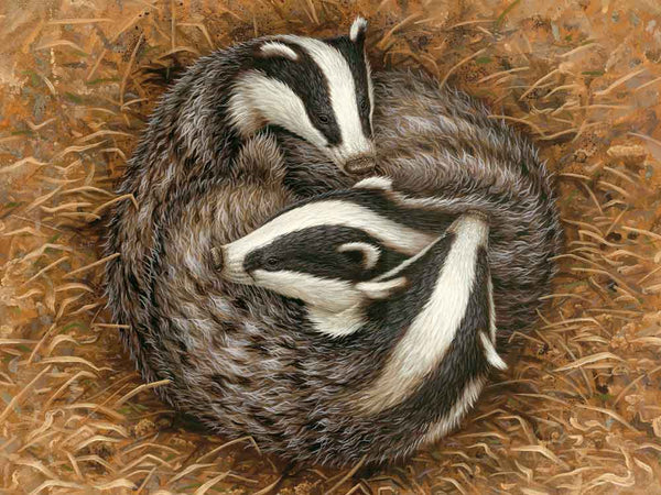 Badger Sleeping Circle | Individual Card | Christmas Verse