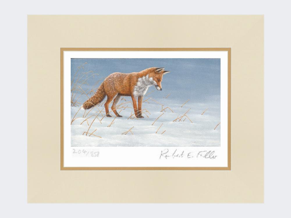 Fox on tree stump - Limited Edition Print – Robert E Fuller