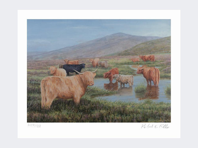 Highland-Cattle-Print-Loose-Print-Only