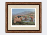 Highland-Cattle-Print-Medium-Walnut-Burr
