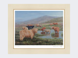 Highland-Cattle-Print-Mounted-Print-Only