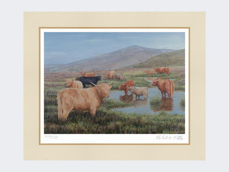 Highland-Cattle-Print-Mounted-Print-Only