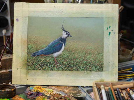 SOLD Lapwing | Original Painting