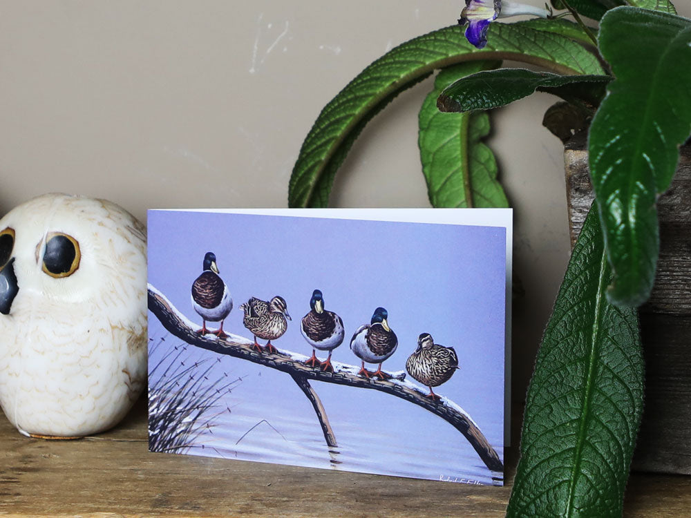 Notelet-Mallards-in-a-Line-Lifestyle-2