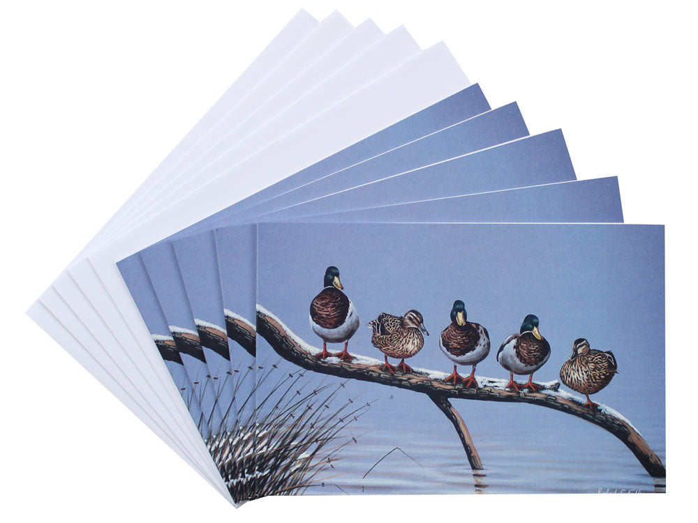 Notelet-Mallards-in-a-Line-White-1