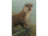 Otter | Original Painting