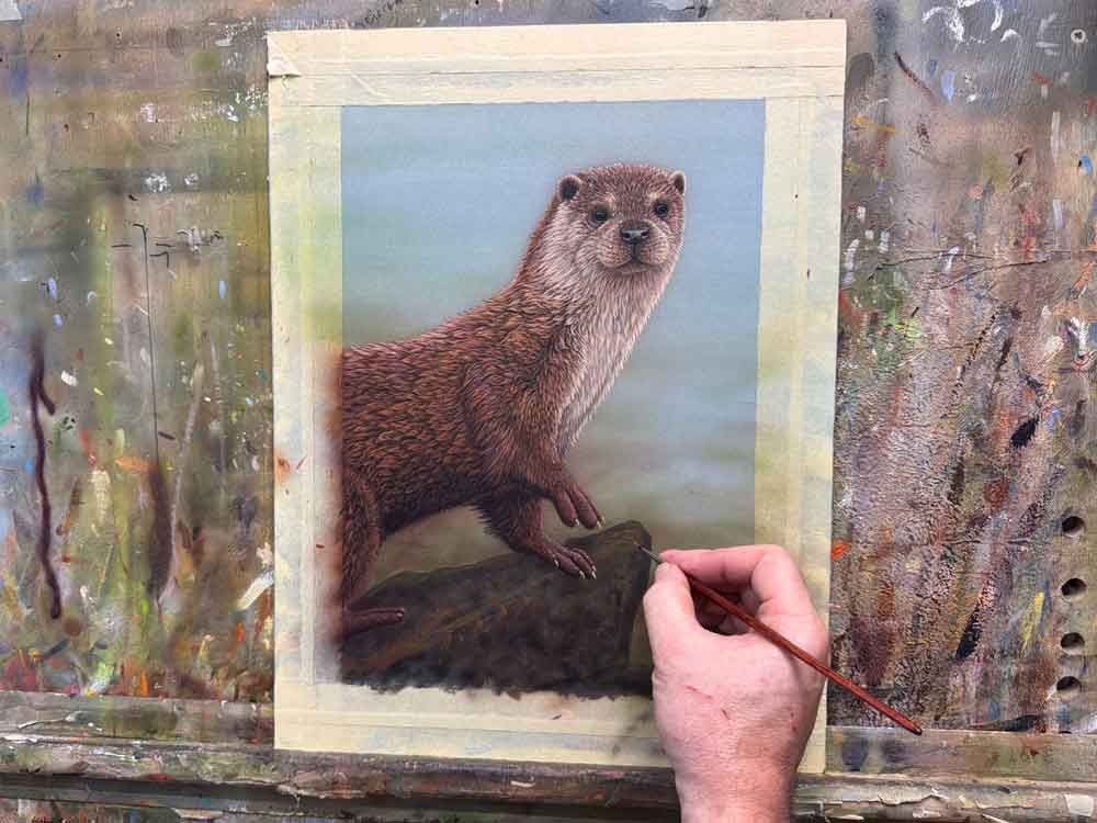 Otter | Original Painting