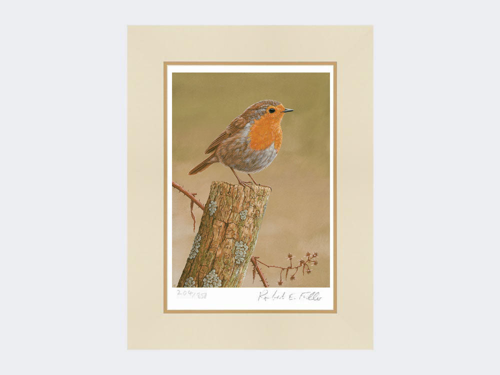 Robin on Post - Limited Edition Print – Robert E Fuller