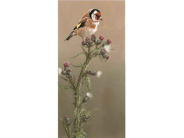 Goldfinch Thistle | Individual Card | Size B