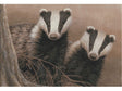 badger-twilight-card
