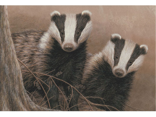 Badgers Twilight | Individual Card | Size C