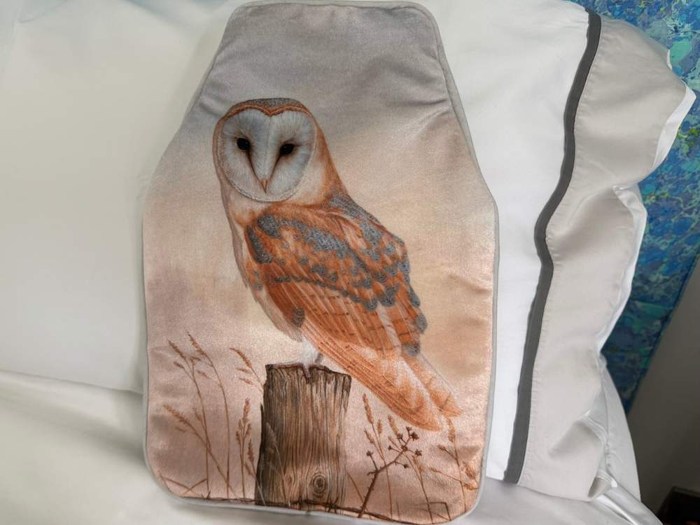 Chouette effraie | Chaussettes de luxe