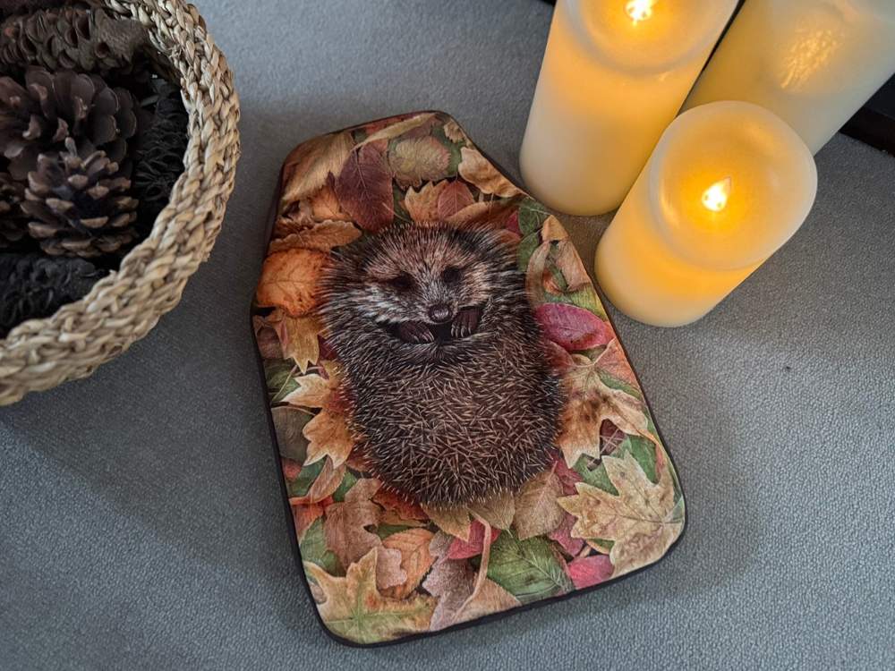 Hedgehog | Hot Water Bottle