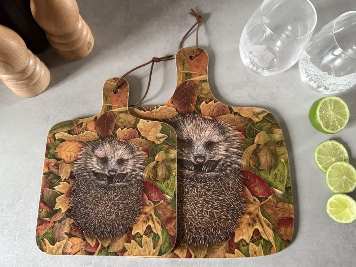 Hedgehog chopping board set of 2