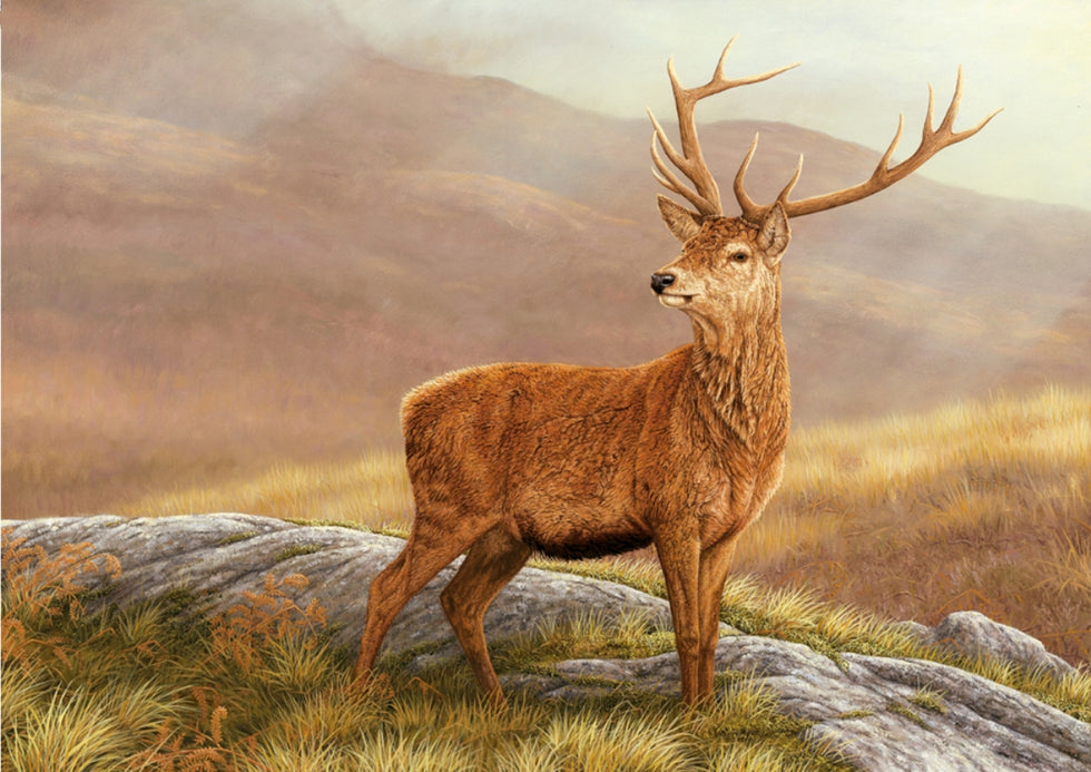 A limited edition art print featuring an painting of a red stag set against a rugged Scottish glen.