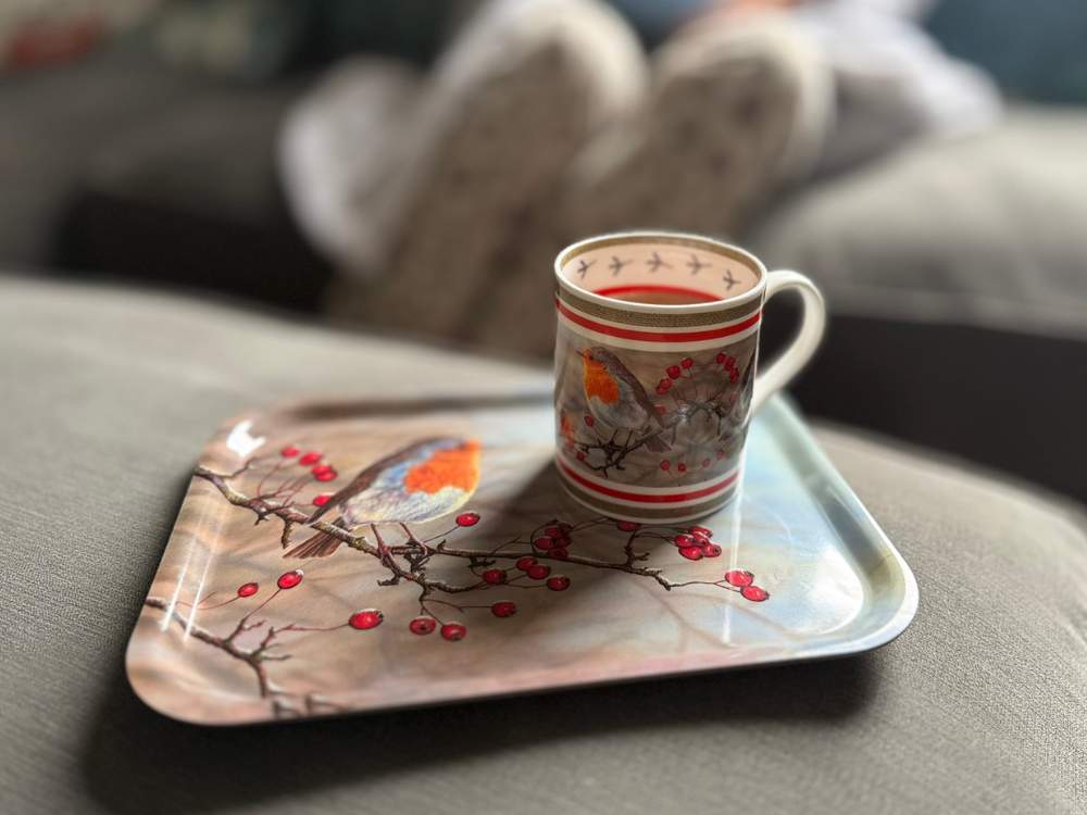 Robin mug and tray set
