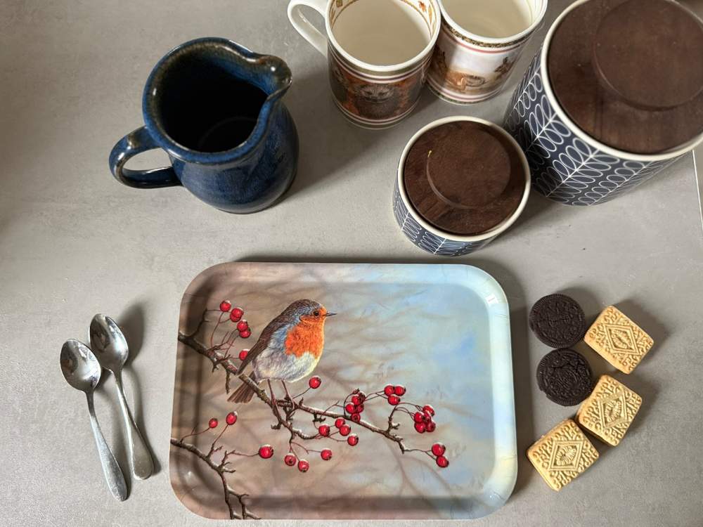 Robin mug and tray set
