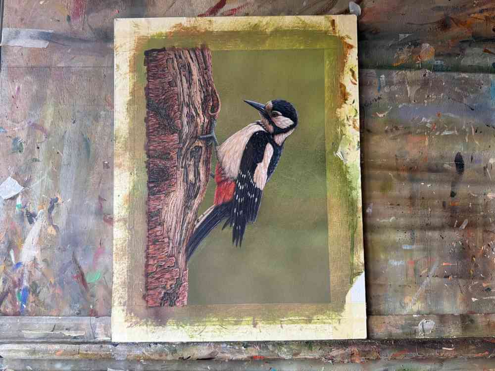 NOW SOLD Great Spotted Woodpecker | Original Painting