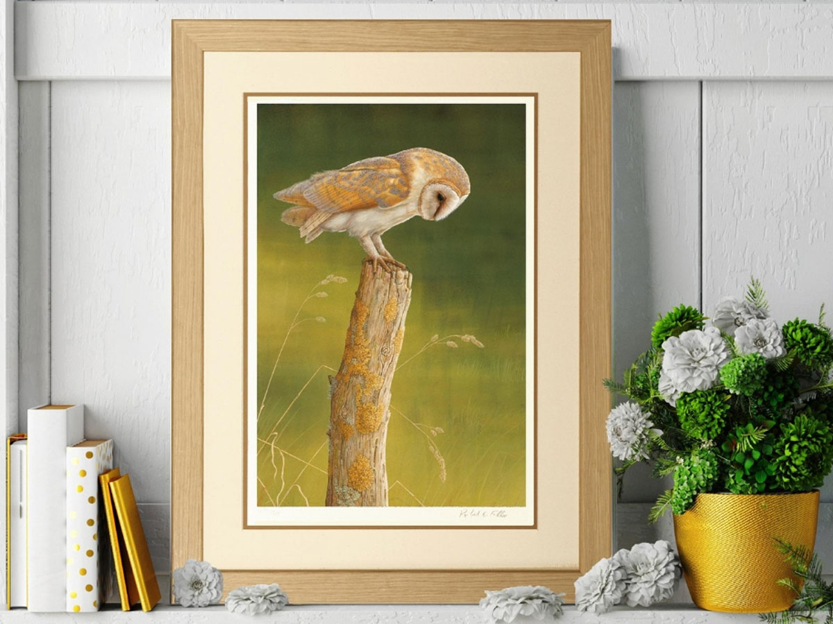 framed owl limited edition print of barn owl
