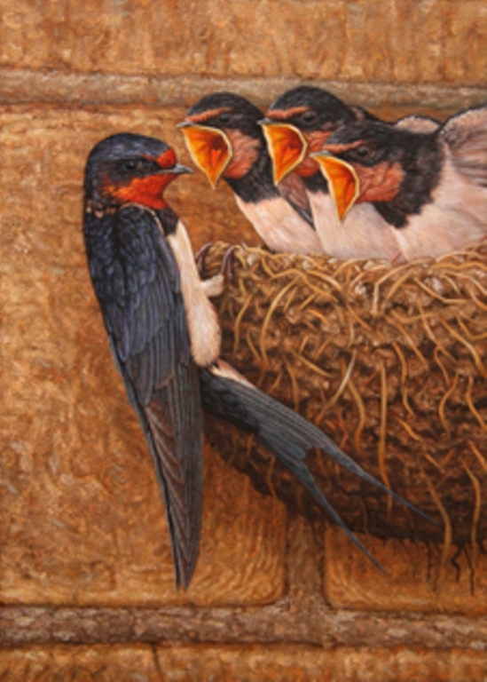 swallow painting