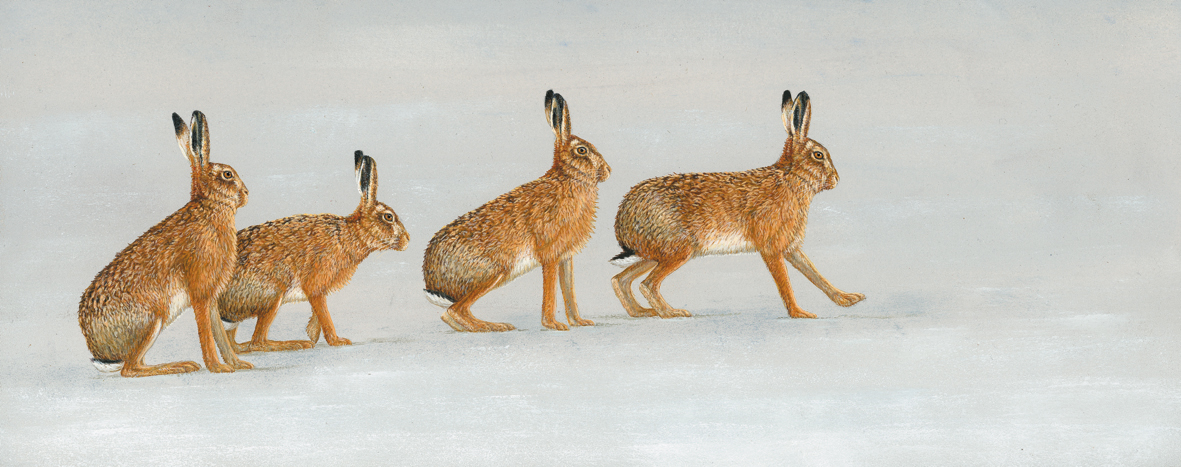 hares in snow painting