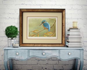 Kingfisher on Willow, painting by Robert E Fuller, loose print £65