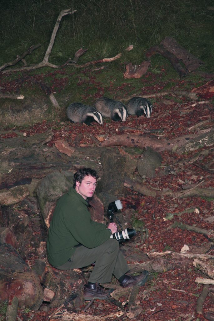 Why you should watch wildlife at night: Badgers