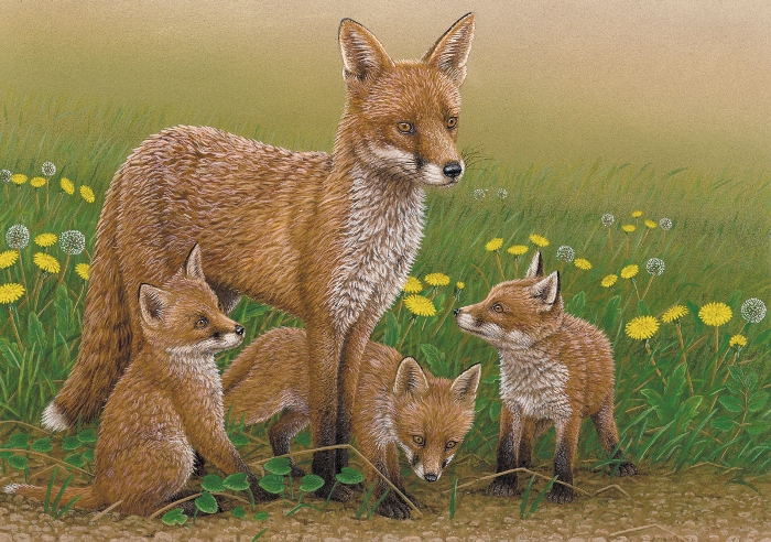 Painting of Vixen with Fox Cubs by Robert E Fuller