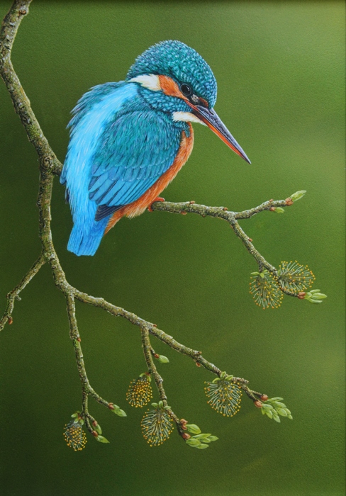 Kingfisher by artist Robert E Fuller