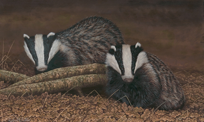 Badgers painted by Robert E Fuller