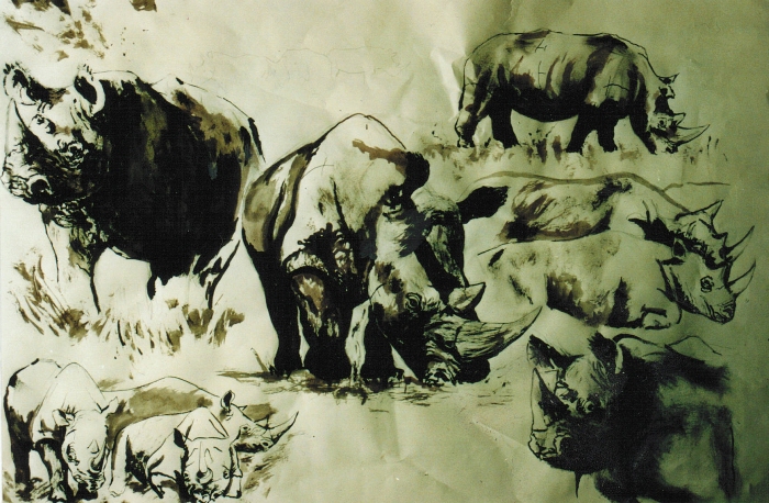 series of drawings of rhino in varying poses