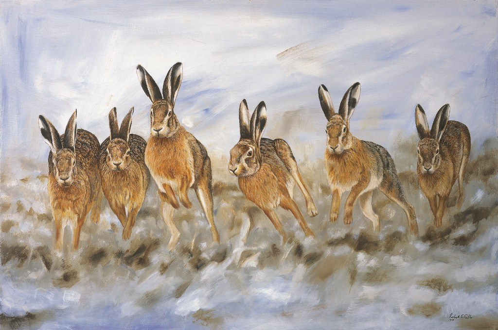 hare painting