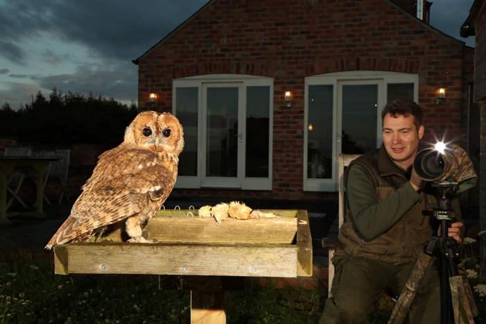 artist robert e fuller photographing tawny owl as it feeds off his garden bird table