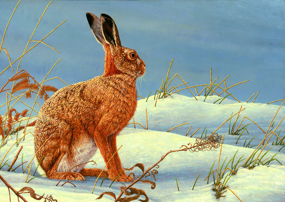 hares