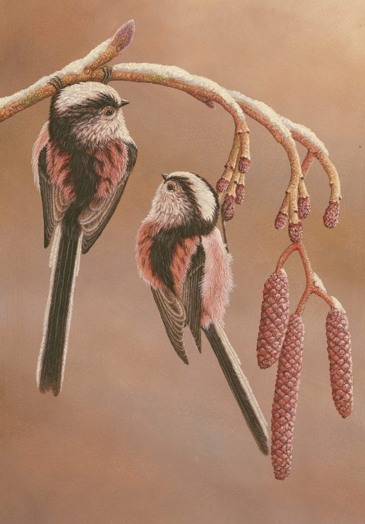painting of long tailed tits two on catkin brance