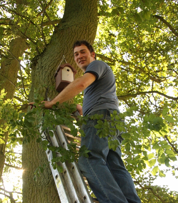 best place to put a nest box wildlife artist robert e fuller on ladder with nest box on tree trunk