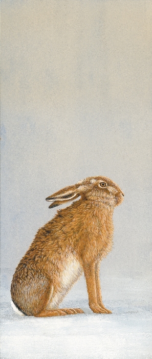 Hare Painting by Robert Fuller