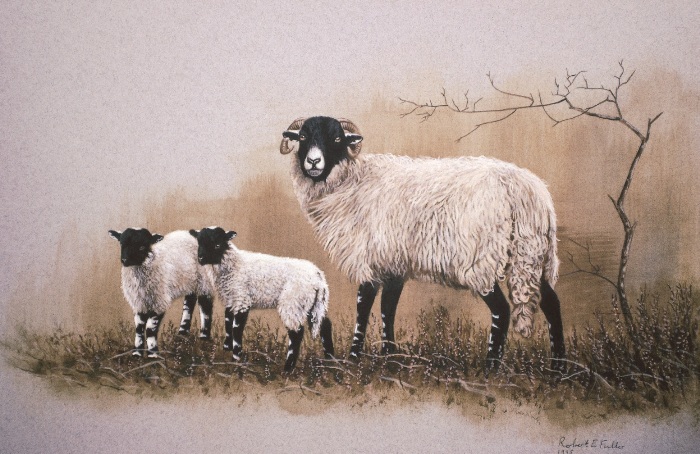 Painting by Robert E Fuller of sheep and lambs