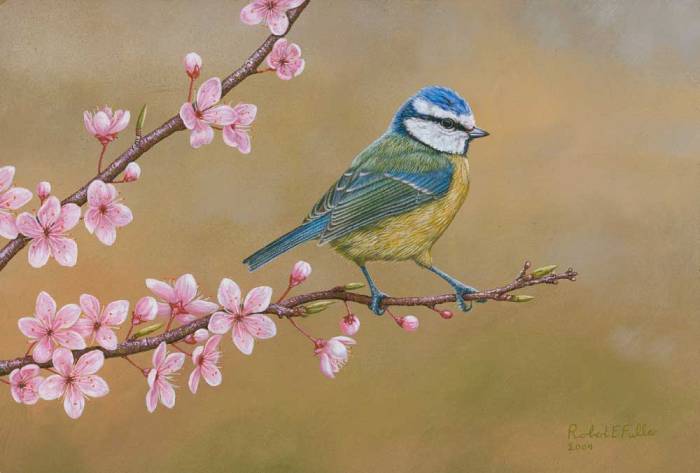 painting of blue tit bird perched on branch with flowering pink cherry blossom